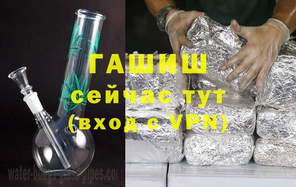 сатива Ельня
