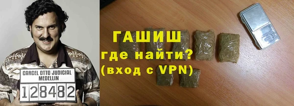 сатива Ельня