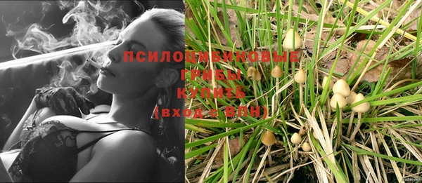 сатива Ельня