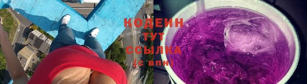 сатива Ельня