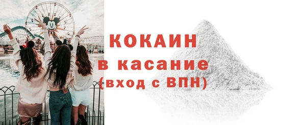 сатива Ельня