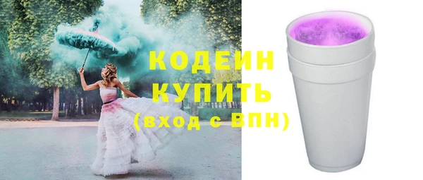 молекула духа Елабуга