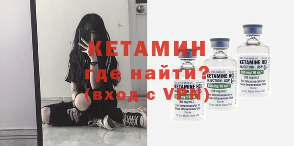 сатива Ельня