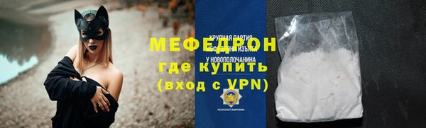 сатива Ельня