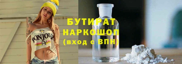 сатива Ельня