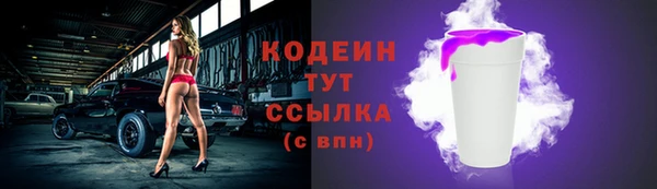 сатива Ельня
