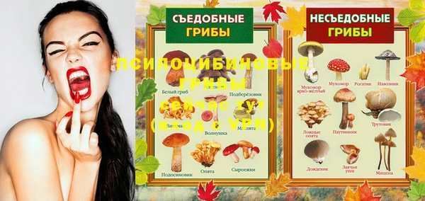 МДПВ Елизово