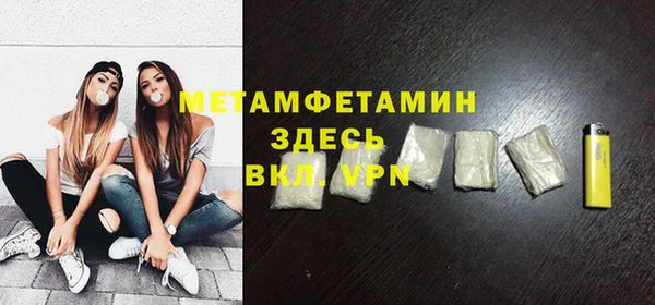 сатива Ельня