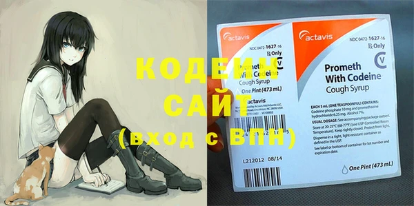 сатива Ельня