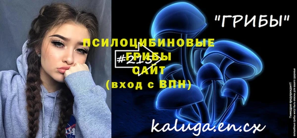 молекула духа Елабуга