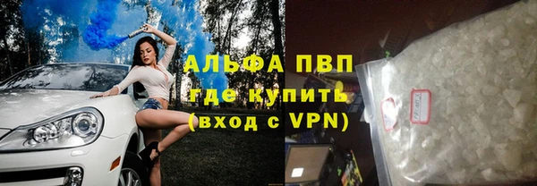 сатива Ельня