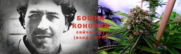 сатива Ельня