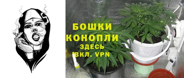 сатива Ельня