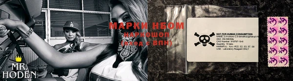 МДПВ Елизово