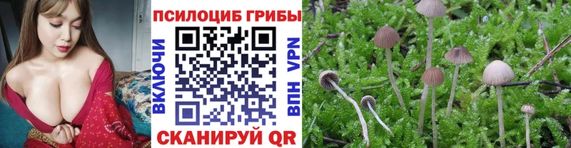 Галлюциногенные грибы Magic Shrooms Купить Железногорск